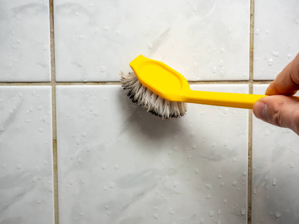 Best Mold Removal Near Me  in Delisle, MS