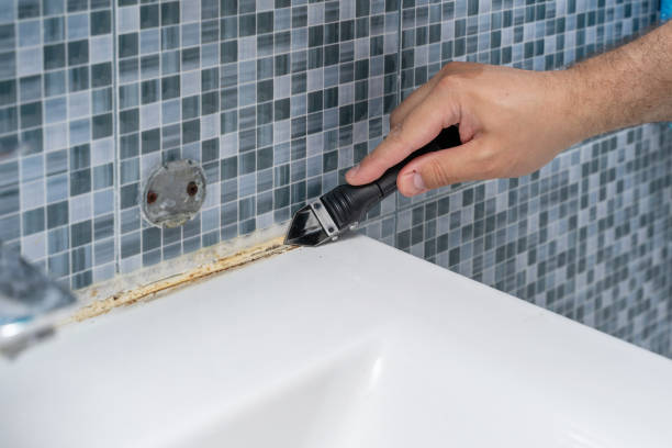 Best Professional Mold Removal  in Delisle, MS